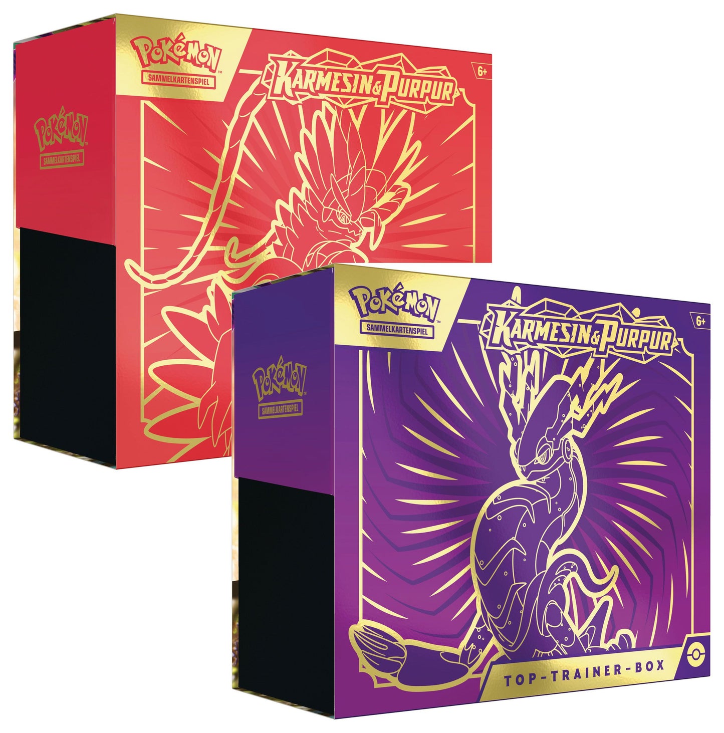 Pokémon - Top-Trainer Box - Karmesin & Purpur 01 - Miraidon oder Koraidon